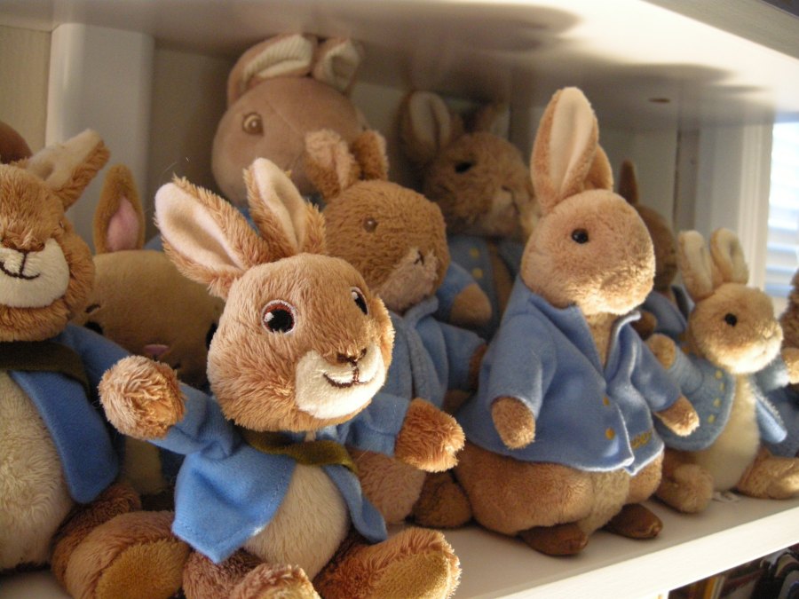 Peter Rabbits 001